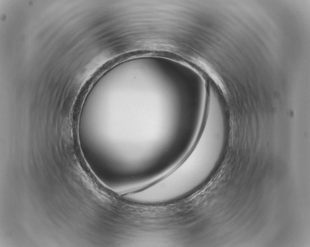 X0000086950972200704161449