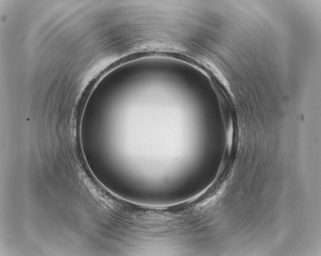 X0000086950981200704161449