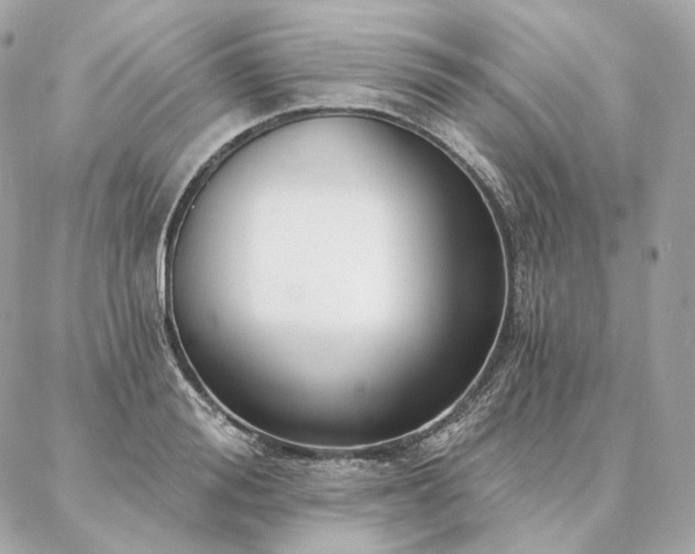 X0000086950988200704161449