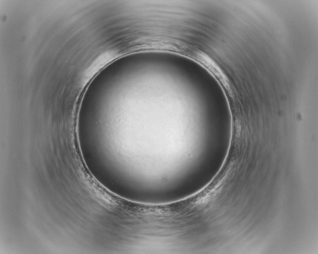 X0000086951002200704161449
