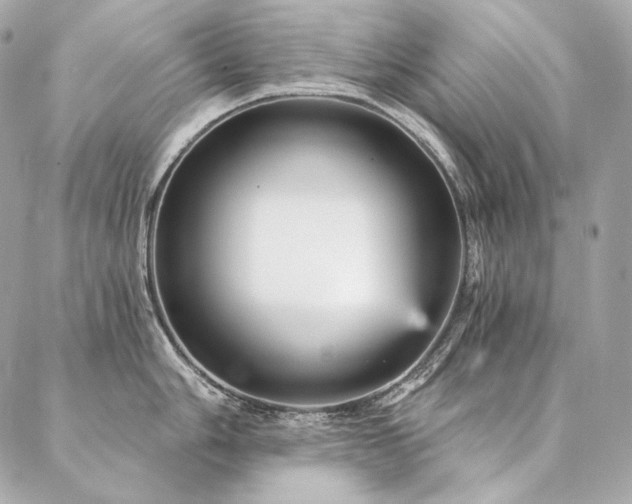 X0000086951006200704161449