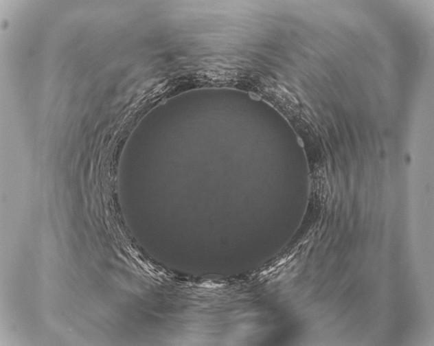X0000086951009200704161448
