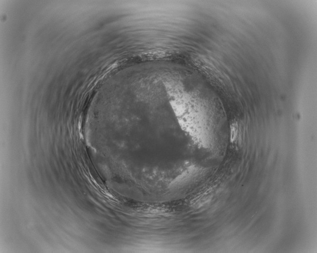 X0000086951011200704161448