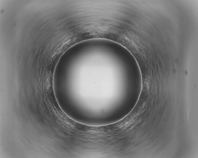 X0000086951012200704161448