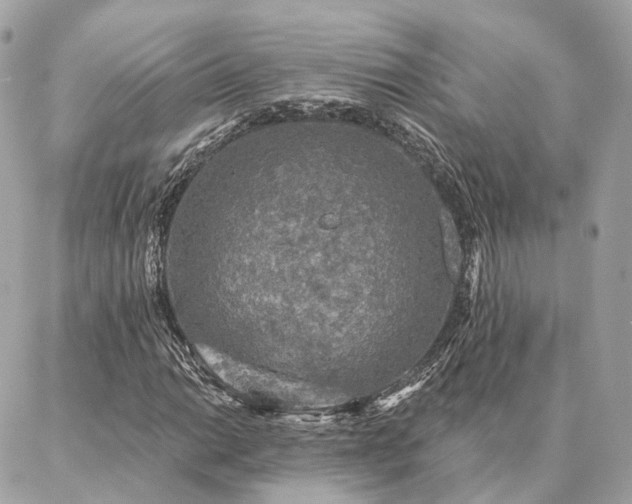 X0000086951014200704161448