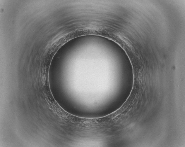 X0000086951015200704161448