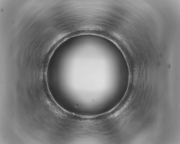 X0000086951017200704161448