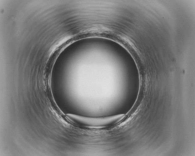 X0000086951018200704161448