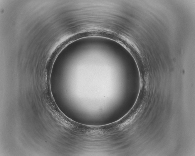 X0000086951021200704161448