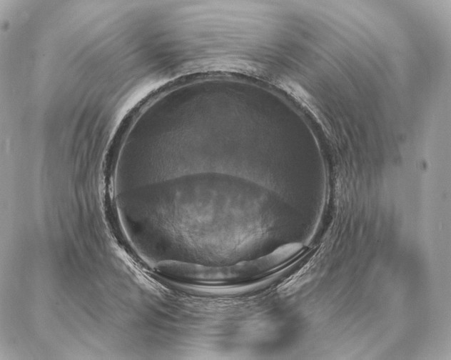 X0000086951024200704161448