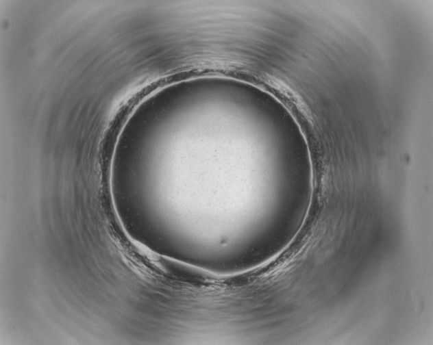 X0000086951027200704161448