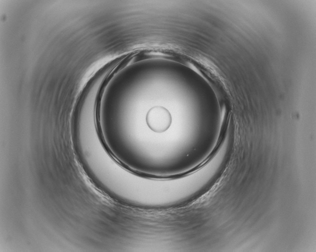 X0000086951030200704161448