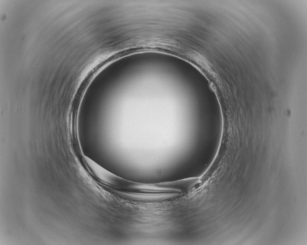 X0000086951032200704161448