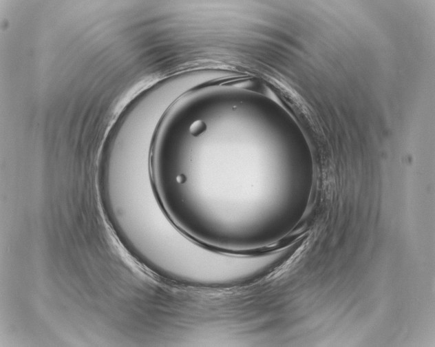 X0000086951034200704161448