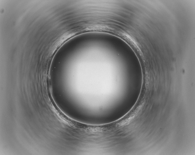 X0000086951041200704161449