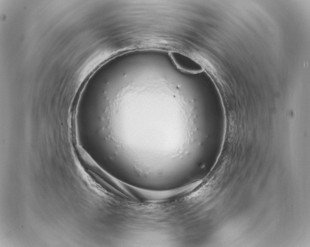 X0000086951047200704161449