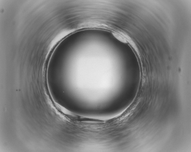 X0000086951053200704161449