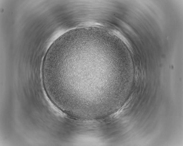 X0000086951055200704161449