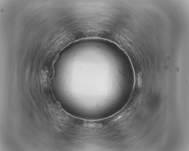 X0000086951059200704161448