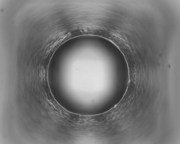 X0000086951061200704161448