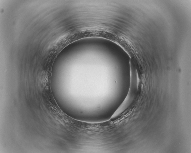 X0000086951062200704161448