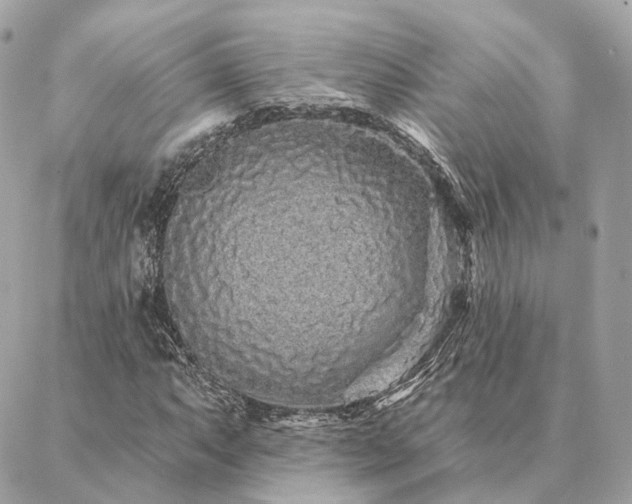 X0000086951063200704161448