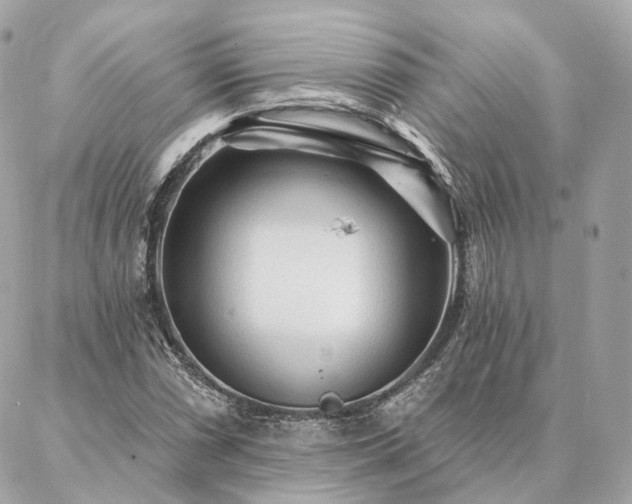 X0000086951066200704161448