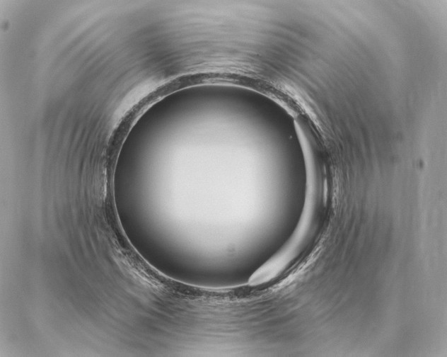 X0000086951069200704161448