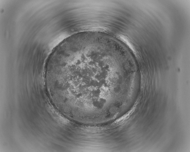 X0000086951071200704161448