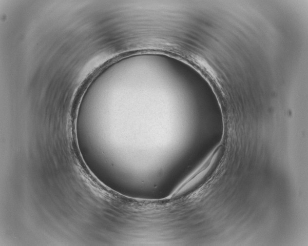 X0000086951072200704161448