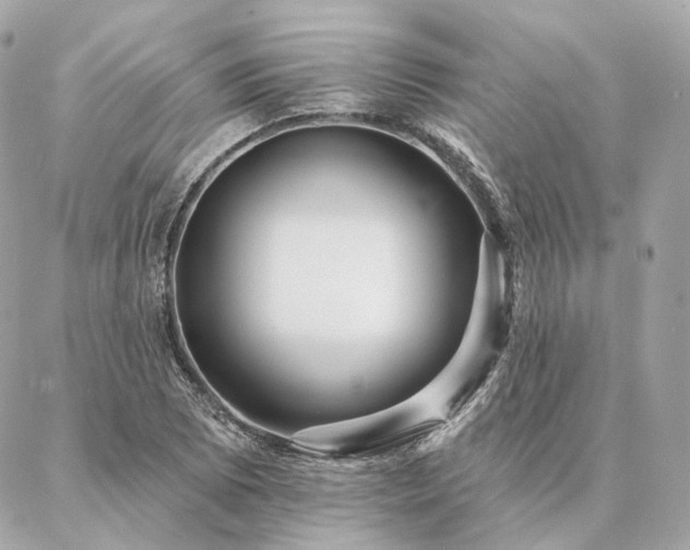 X0000086951073200704161448