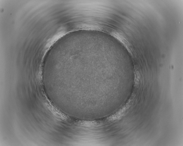 X0000086951074200704161448