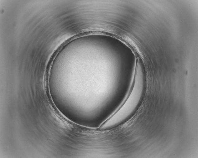 X0000086951076200704161448