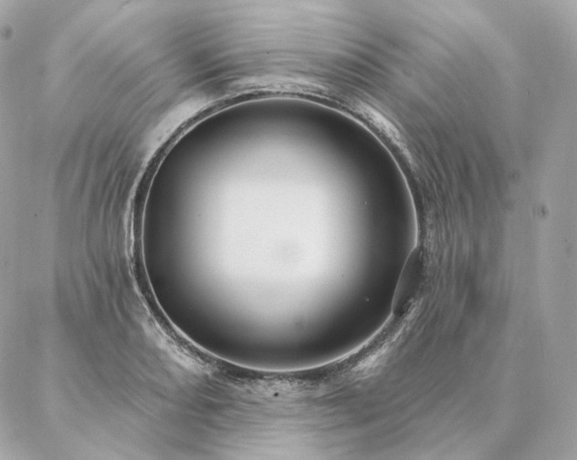 X0000086951082200704161448