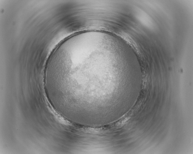 X0000086951086200704161448