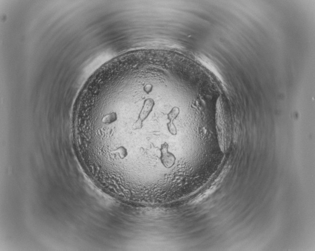 X0000086951087200704161448