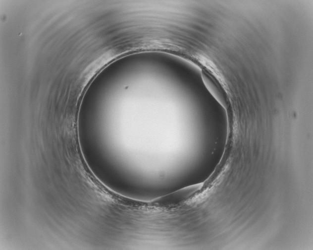 X0000086951089200704161448