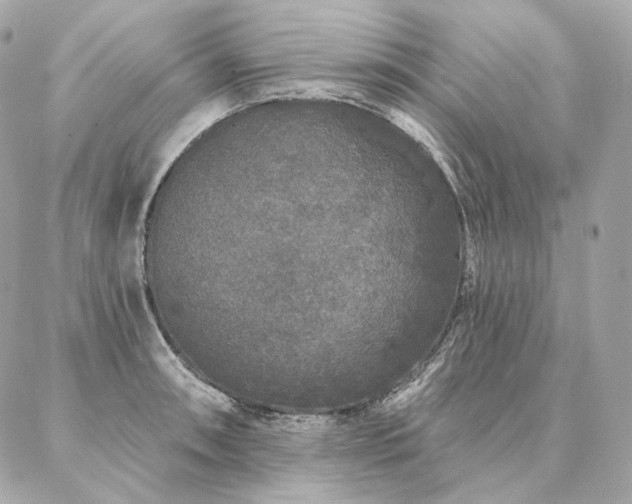 X0000086951090200704161448