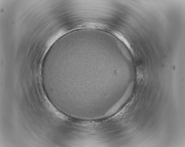 X0000086951091200704161448