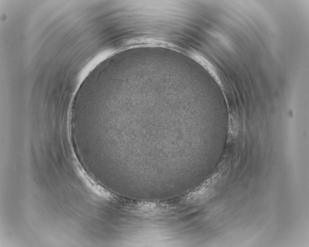 X0000086951098200704161447