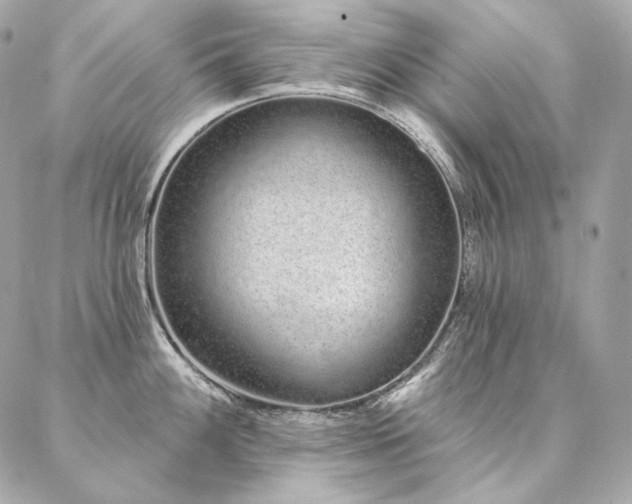 X0000086951100200704161447