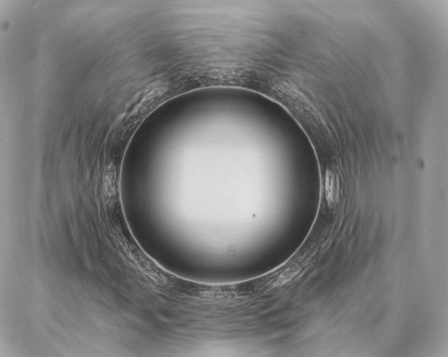 X0000086951107200704161447