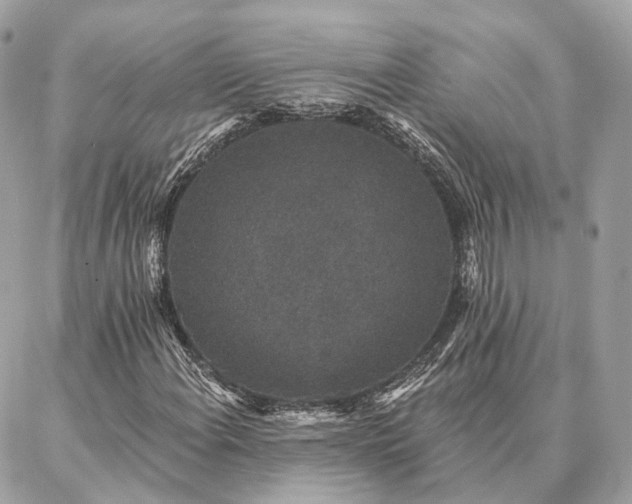 X0000086951108200704161447