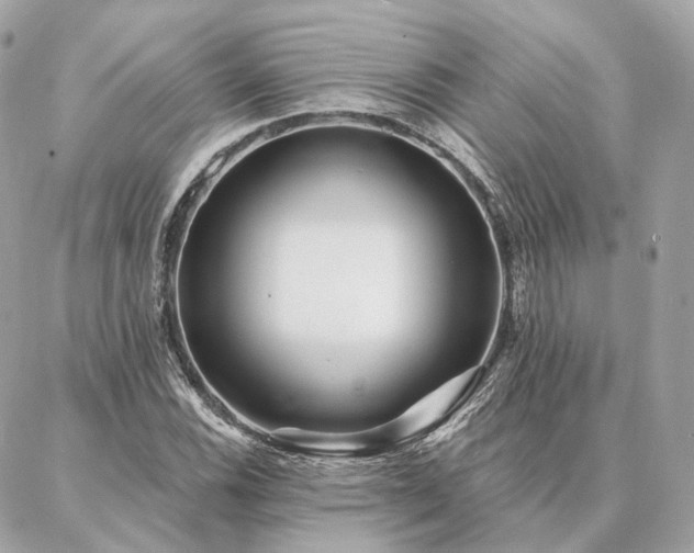 X0000086951116200704161447