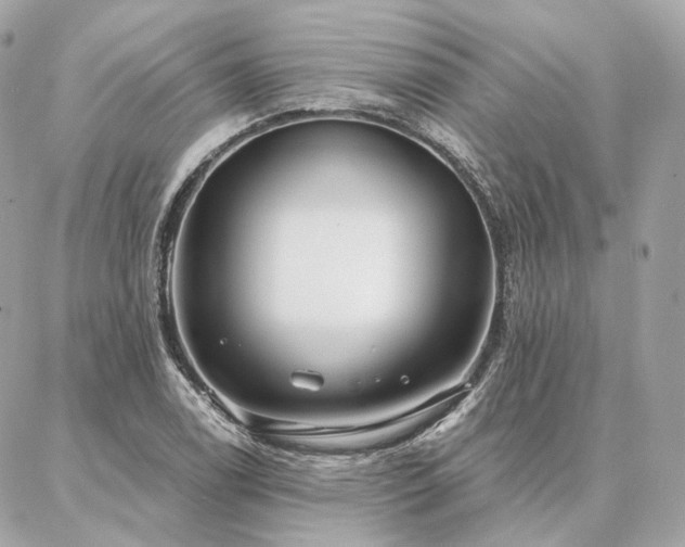 X0000086951122200704161447