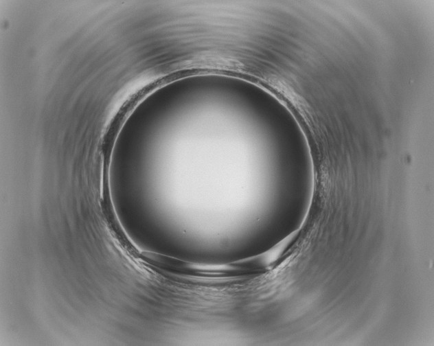 X0000086951123200704161447