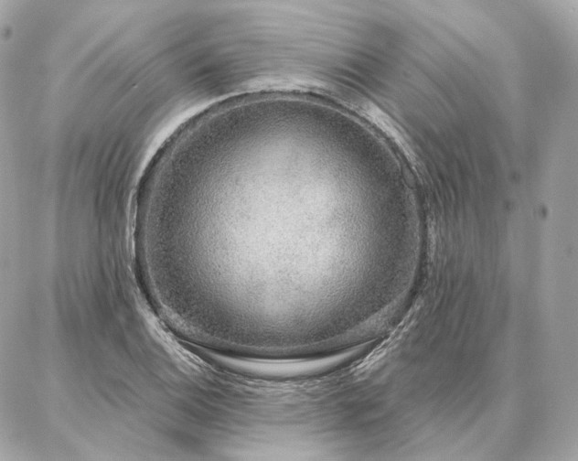 X0000086951124200704161447