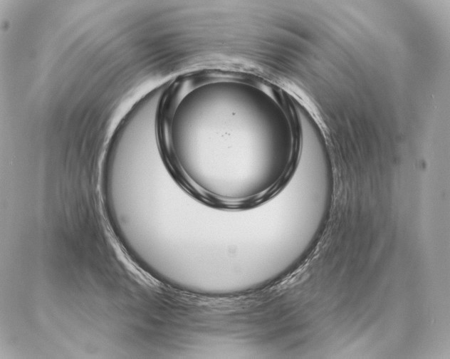 X0000086951128200704161447