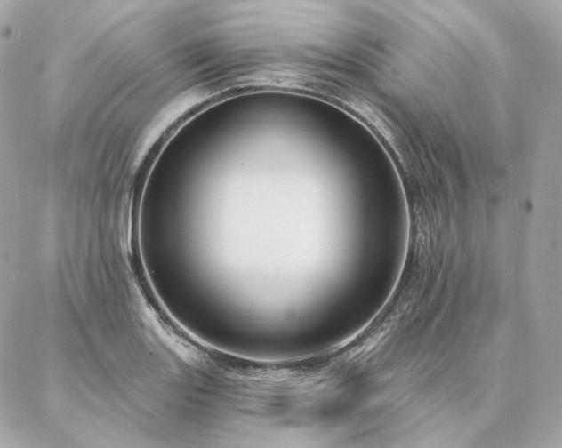 X0000086951131200704161447