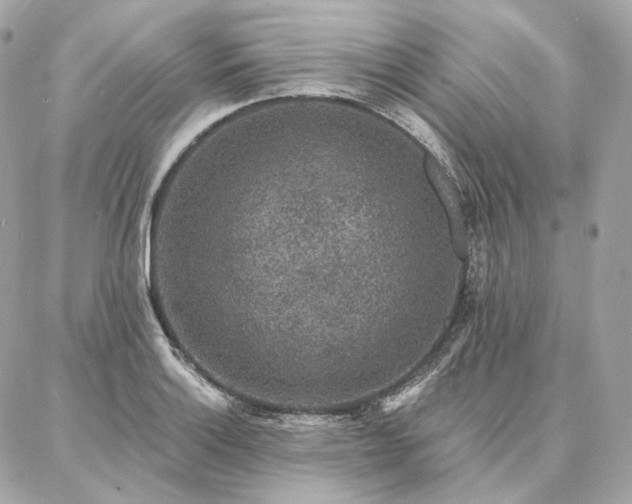 X0000086951132200704161447